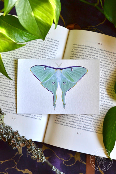 Luna store Moth original painting