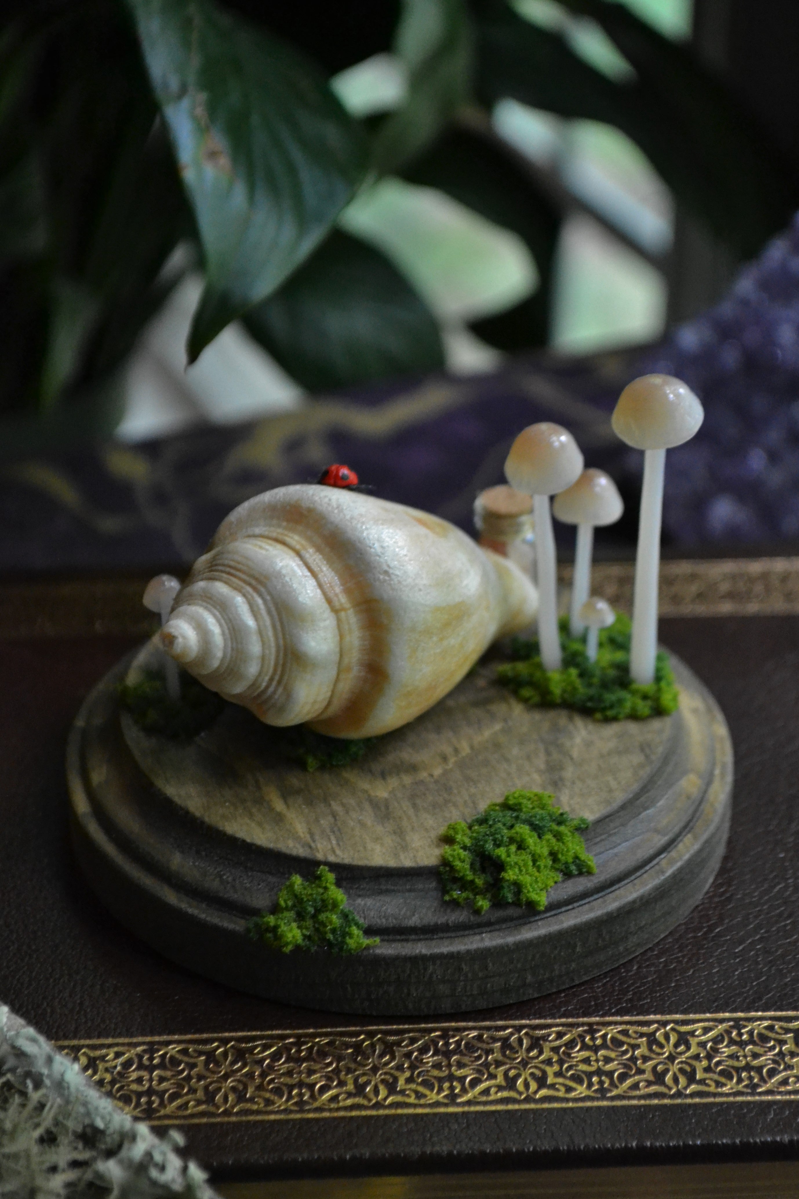 SEA & SPORE || Ladybug + Miniatures