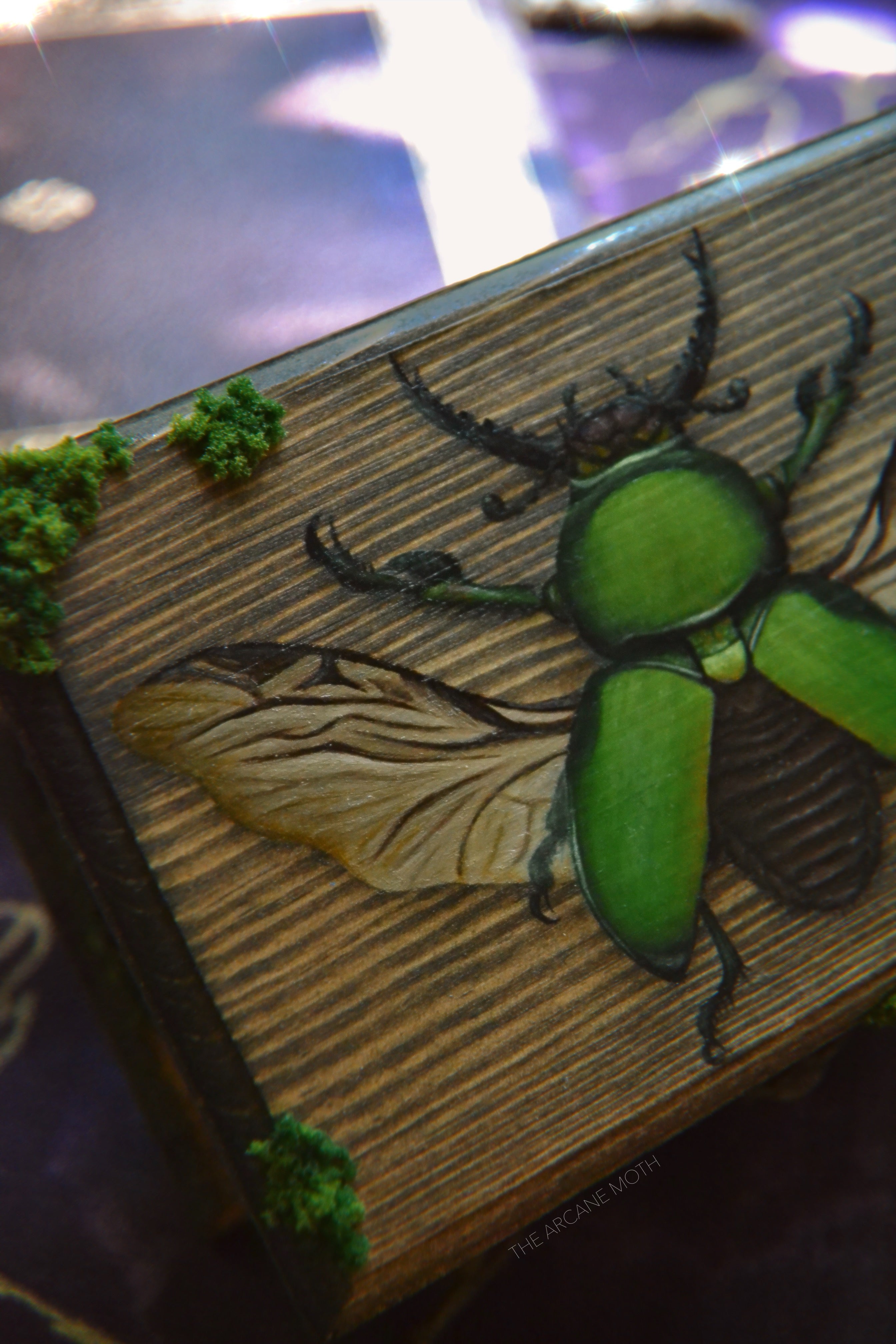 Lamprima Adolphinae || Original Oil Painted Box w/ Hidden Fairy Apothecary