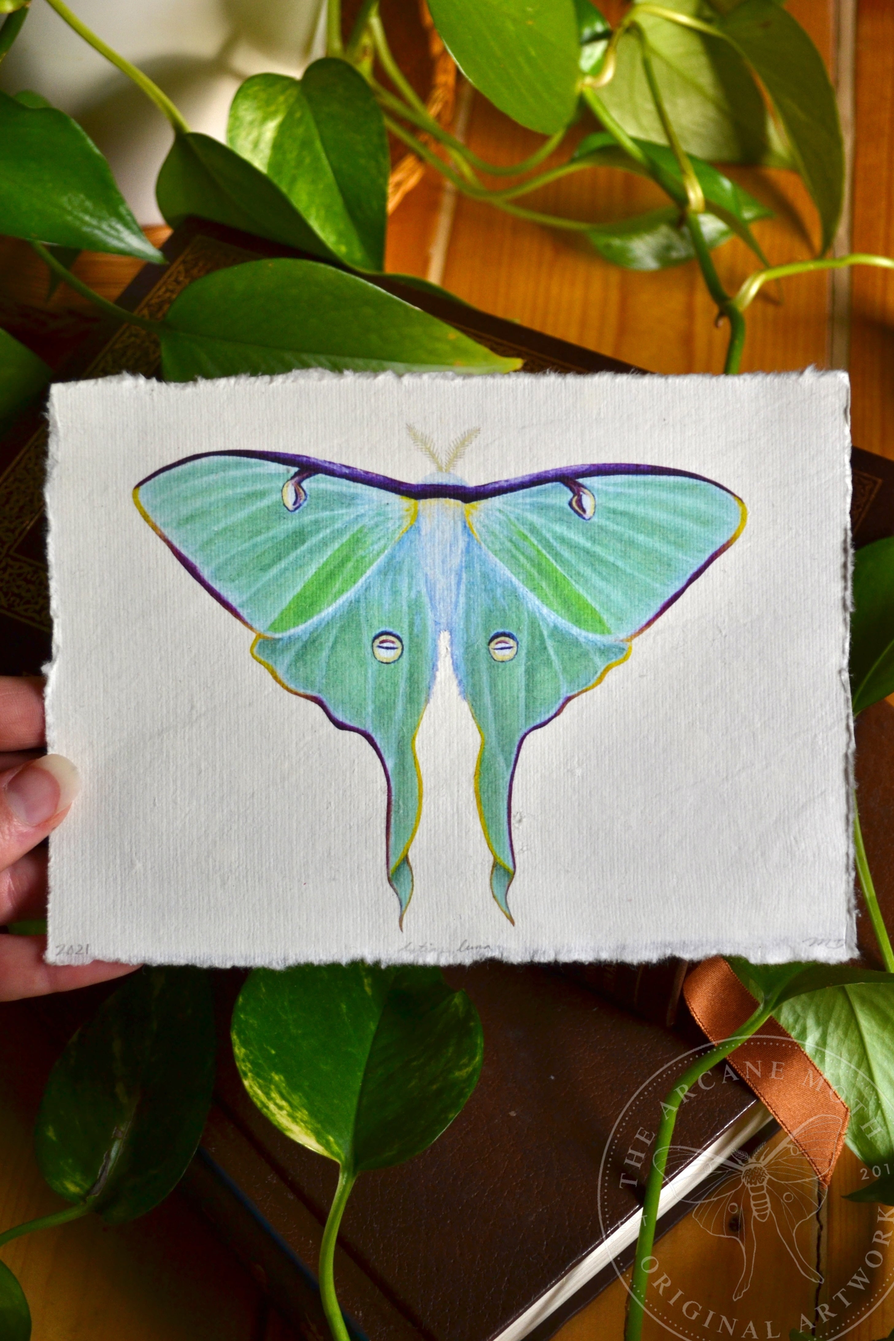 Luna Moth Ransom Note LIMITED EDITION Prints | Luna Moth – The Arcane Moth